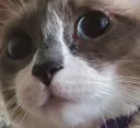 concern