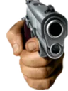 gun