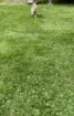 TuckerRunningboi