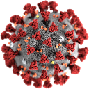coronavirus Discord emoji