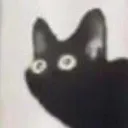 interestingcatto Discord Emoji
