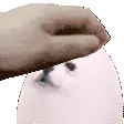 ED_eggpat