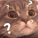 catwhat