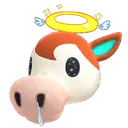 angel_papi