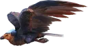 argentavis