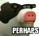 perhaps perhaps