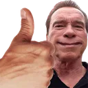 arnoldProceed arnoldProceed