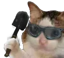 shovelcat shovelcat