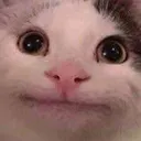 kat kat
