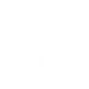 demicolon