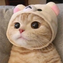 catito3 Discord emoji