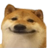 dogehehe