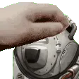 PetTheTeddy