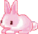 PinkBunny