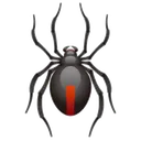 spider spider