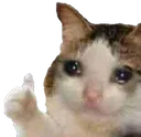 sadkittythumbup
