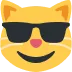 sunglasses_cat sunglasses_cat