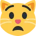 anguished_cat
