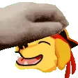 DogsairPet