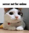 2398_notforanime