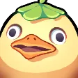 derpducky
