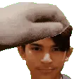 PETTHESHORTY