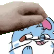 yinpet