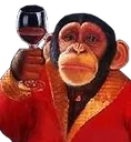 saludchimp