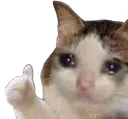 catSadOk