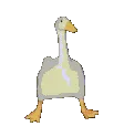 EminemDuck EminemDuck