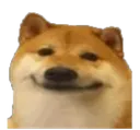 nonishocko