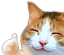 ThumbsUpCatHappy