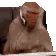 ApeSupport