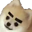 Dogewink