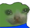 PeepoSadCat