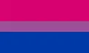bi_flag