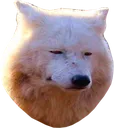 MilesMad