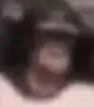 monkepog