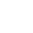 raccoon
