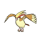 Pidgeot