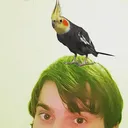 EK_Birb