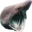 Sharkpog sharkPog Discord Emoji