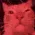 Cat_Vibe_Trip_Dance