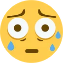q_hnng1 q_hnng1