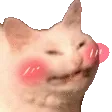 heblush