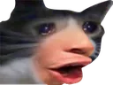 SCwhydidyousaythatPOG