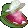 pepesmoke