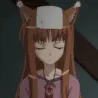 holosip