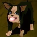 segsiggy