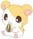HamsterCute Discord emoji